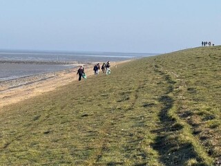 thumb saubere kueste2