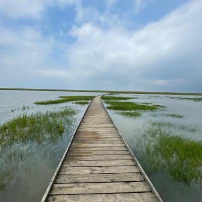 A2700e53 1213 4c0b 8905 6afc06dda5d4