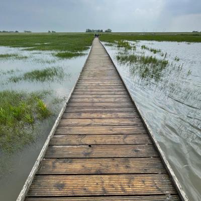 Ca628dc3 2a5d 415c 95e5 34c1d74f7722